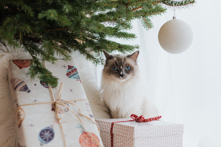 King of Christmas: The Joy of Pre-Lit Christmas Trees