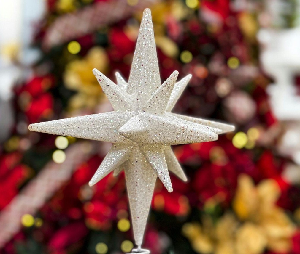 Finding the Perfect Christmas Tree for Your Family